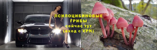 кокаин премиум Тавда
