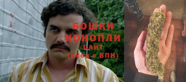 прущий лед Богданович