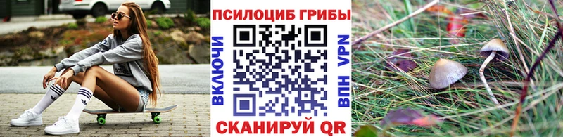 KRAKEN ТОР  Наро-Фоминск  Псилоцибиновые грибы мухоморы 